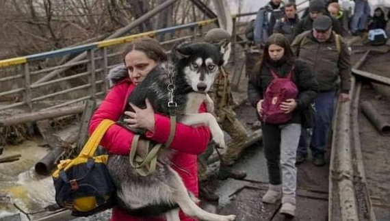 Це про людяність, це про українців: у «гарячих точках» рятують тварин