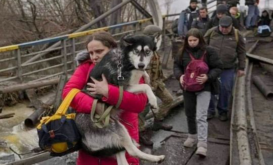 Це про людяність, це про українців: у «гарячих точках» рятують тварин