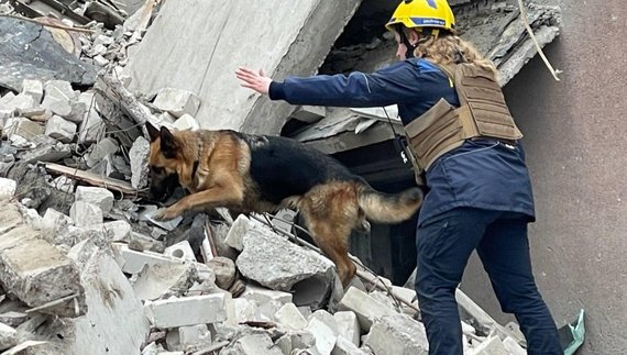 Пошуковий пес з рятувальницею шукають постраждалих після ракетного удару по Чернігову