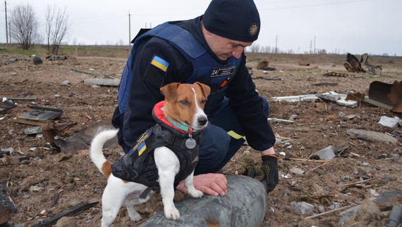 Чернігівський Патрон - володар найпрестижнішої у світі кінопремії для чотирилапих