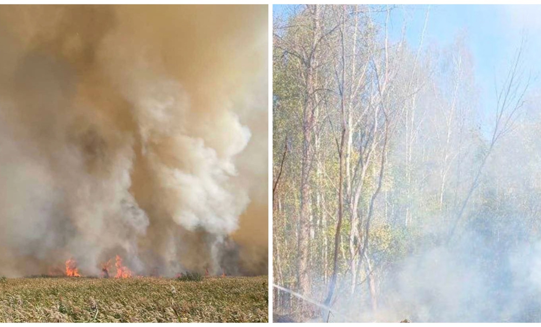 Пожежа у лісі. Вересень 2025 року. Чернігівщина