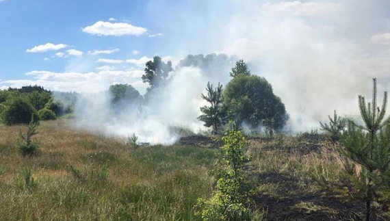 Ворог обстріляв прикордоння Чернігівщини: вибухи у двох районах