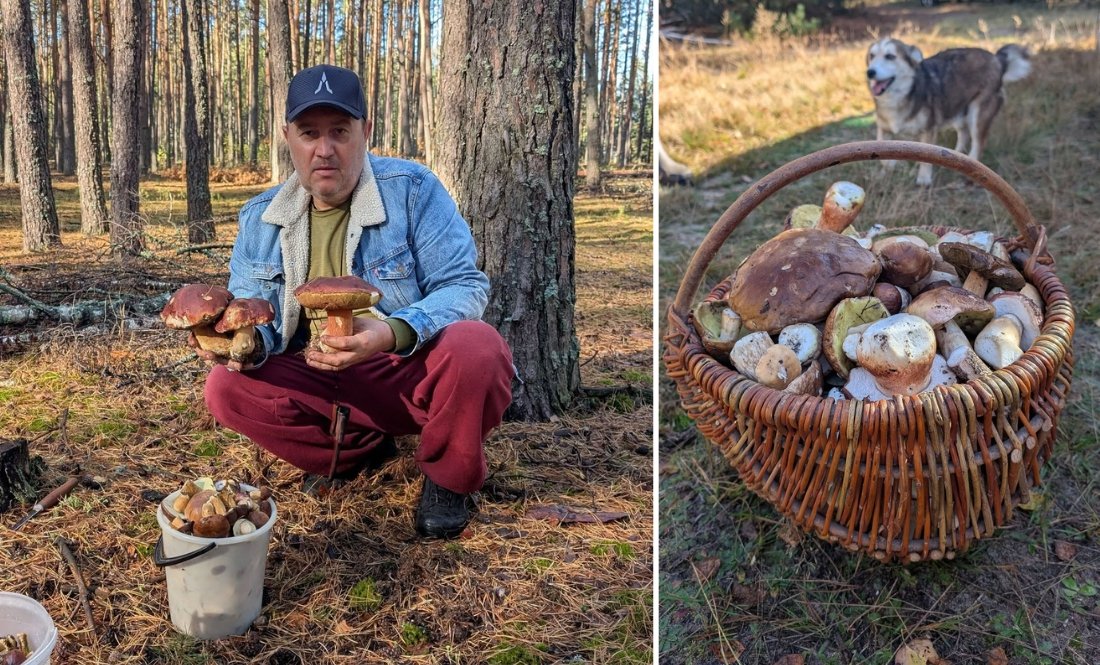 Олег Роговий зібрав чималий кошик грибів