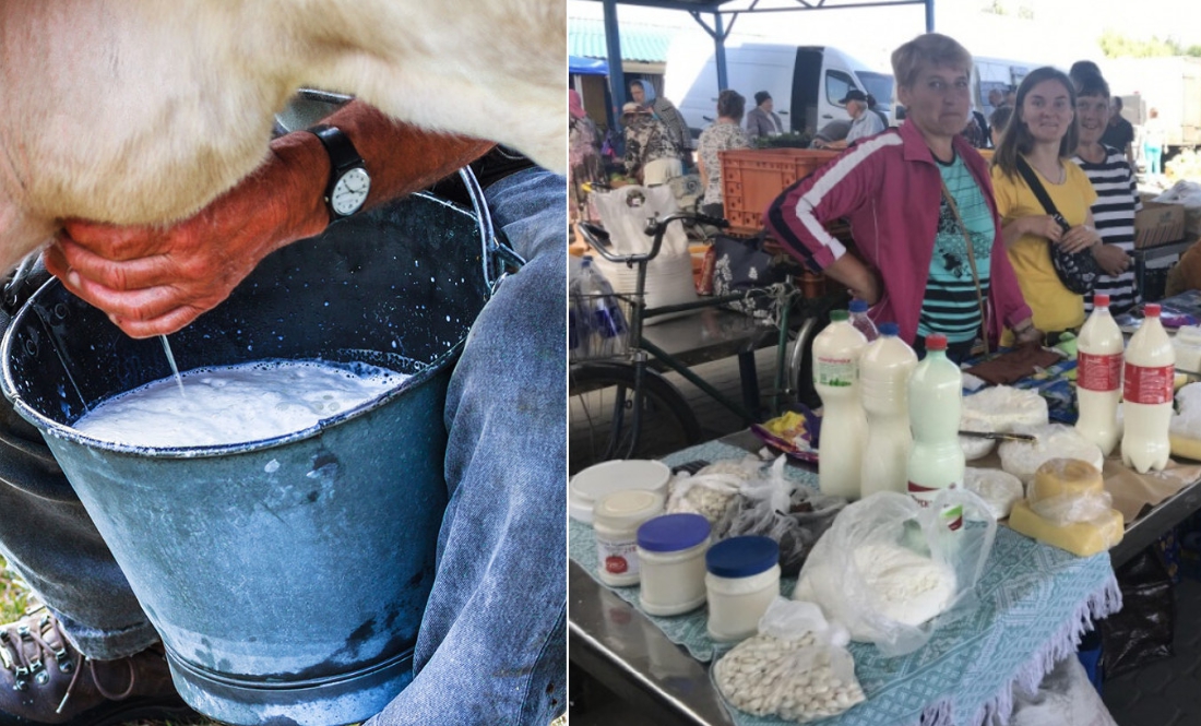 В яку ціну приймають молоко у селян на Чернігівщині