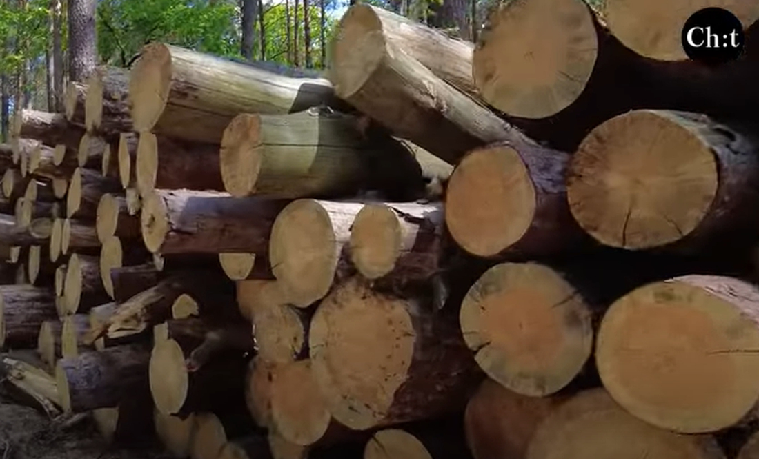 Скільки дров купили люди на Чернігівщині за 2023 рік у лісництв