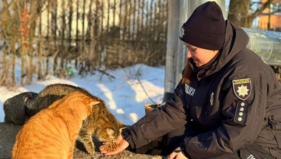 Безпритульним тваринам пережити морози допомагають… поліціянти
