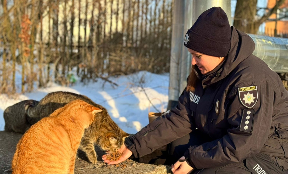 Безпритульним тваринам пережити морози допомагають… поліціянти