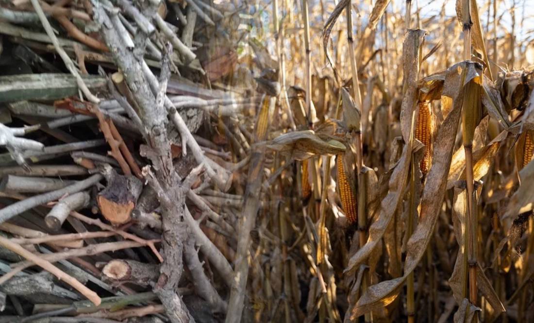 Чагарники й кукурудзяні відходи: як ветерани з Чернігівщини допомагають сім’ям військових