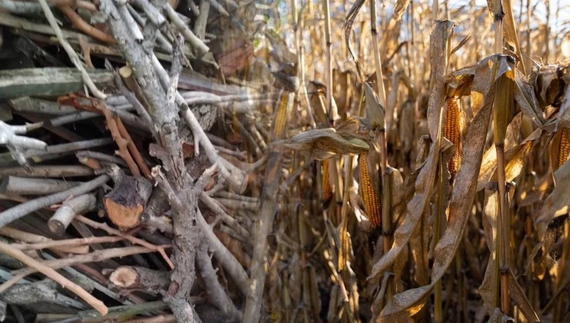 Чагарники й кукурудзяні відходи: як ветерани з Чернігівщини допомагають сім’ям військових