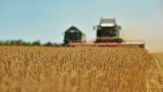 "Подекуди заважає безпекова ситуація": на Чернігівщині жнивують у чотирьох районах