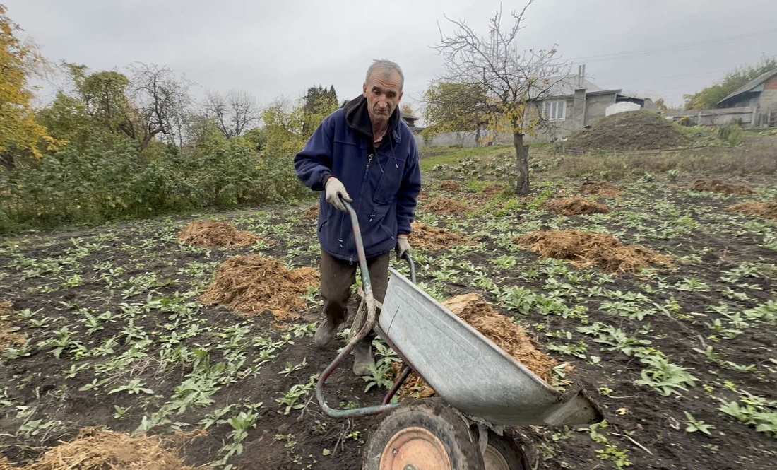 Володимир Компанець розводить гній на городі