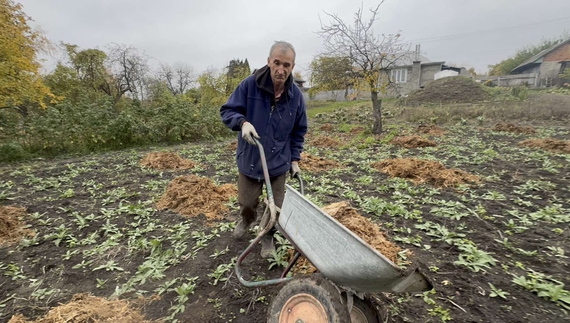 Володимир Компанець розводить гній на городі