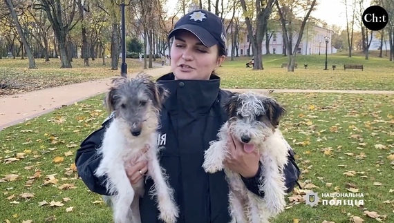 Фокстер’єрів Міні та Мікі готують до важливої роботи в поліції Чернігівщини