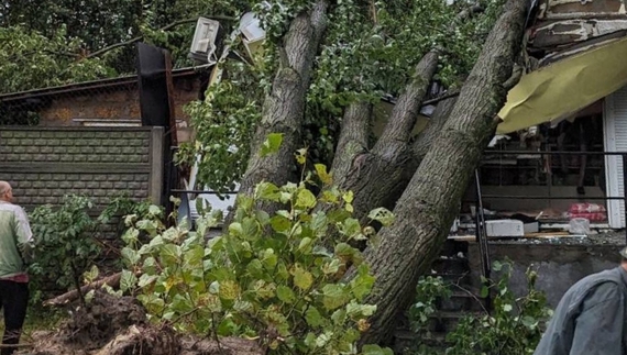 На Чернігівщині шквальний вітер залишив без світла більше 6 тисяч будинків та квартир