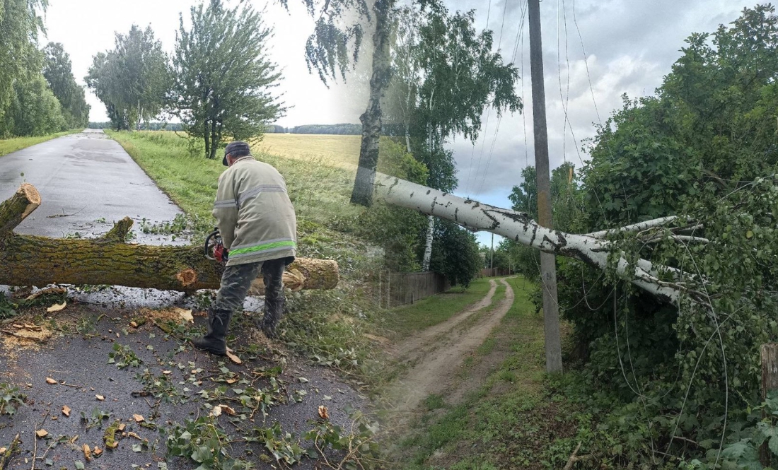 Повалені дерева, обірвані дроти: як у селах справлялися з наслідками негоди