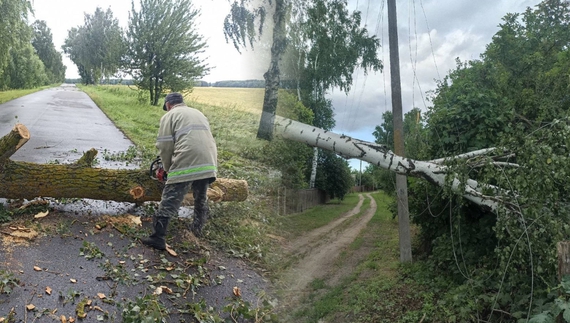 Повалені дерева, обірвані дроти: як у селах справлялися з наслідками негоди
