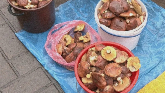 На Чернігівщині грибів стільки, як було перед війною