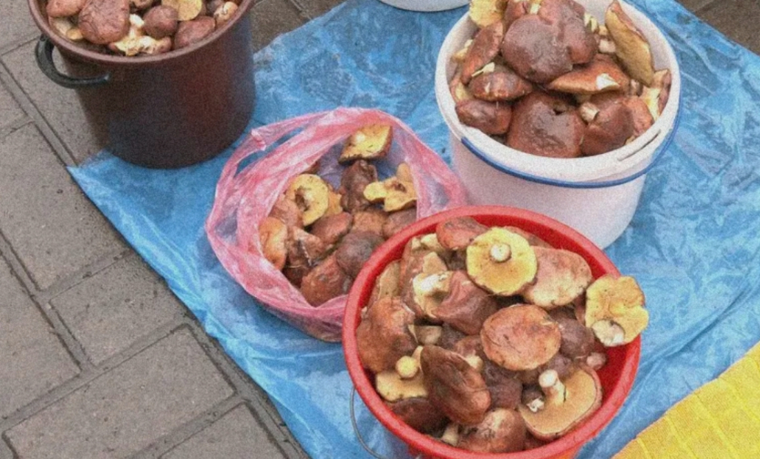 На Чернігівщині грибів стільки, як було перед війною