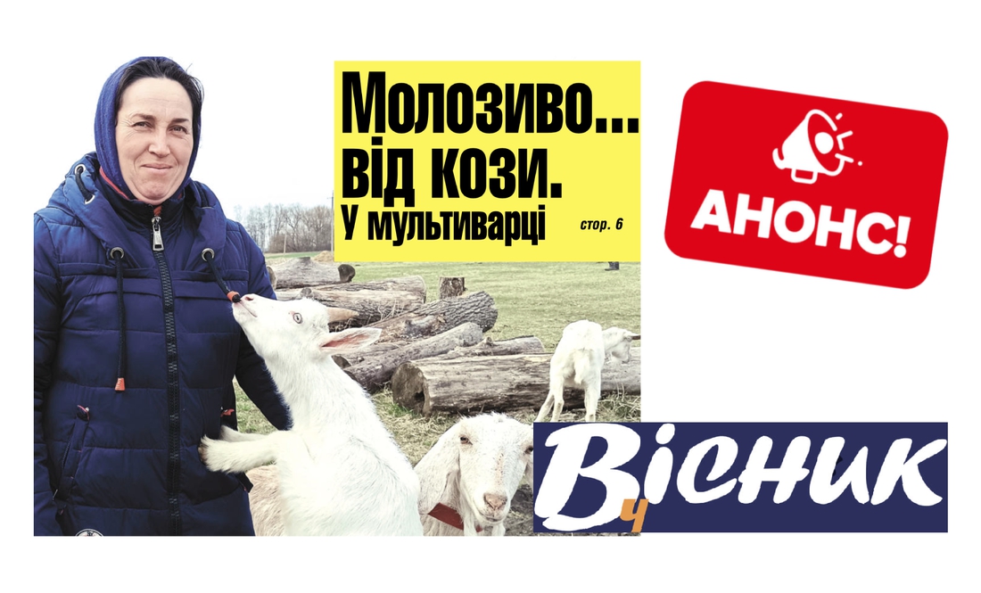 Жінка з Чернігівщини робить молозиво з козячого молока у мультиварці. Читайте у "Віснику" 11 квітня