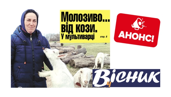 Жінка з Чернігівщини робить молозиво з козячого молока у мультиварці. Читайте у "Віснику" 11 квітня