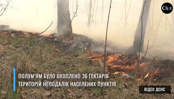 Масштабні пожежі охопили Чернігівщину через спалювання сухої трави і сміття