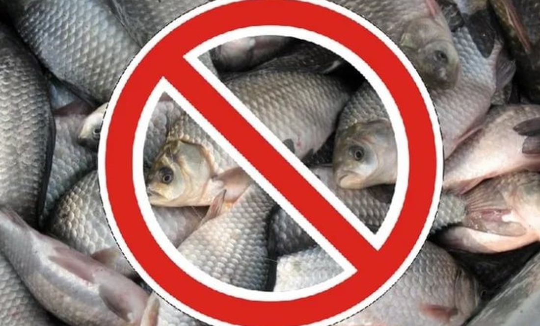 У Чернігівській області заборонять вилов риби - де і на який термін