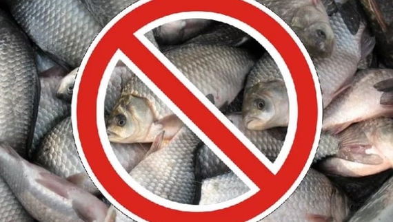 У Чернігівській області заборонять вилов риби - де і на який термін