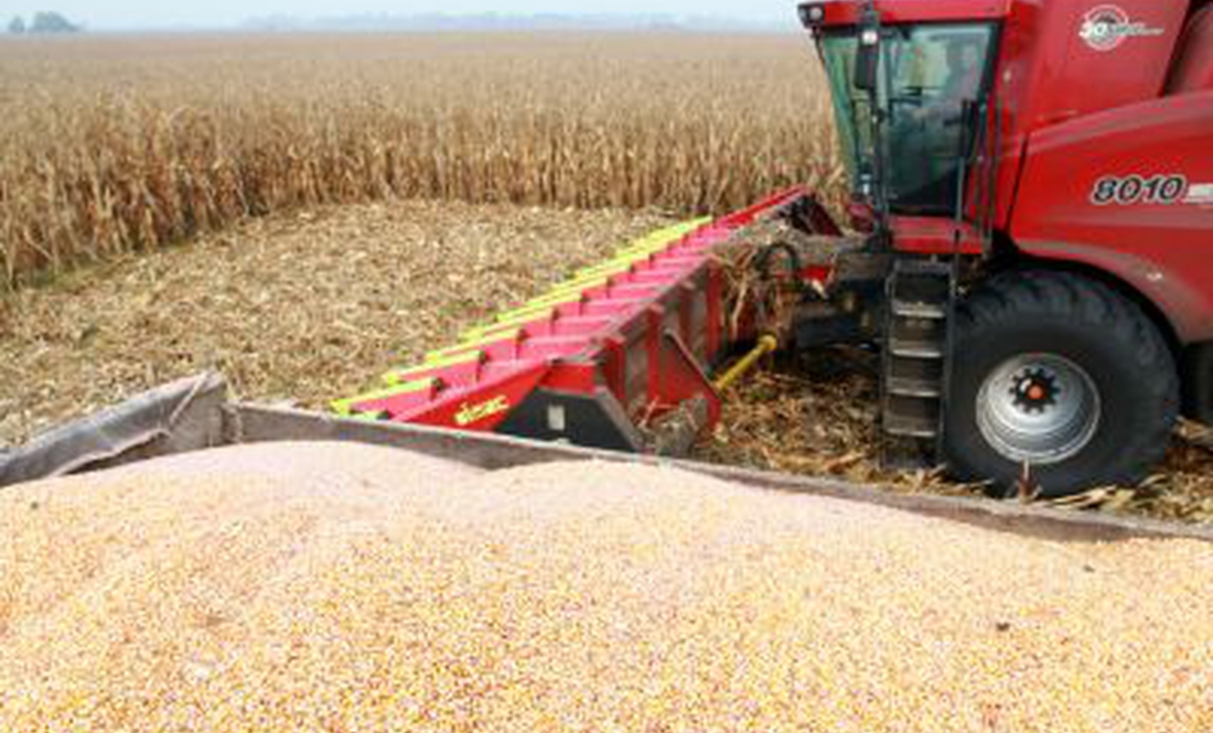 5% сільгосппродукції України вже виробляють чернігівські аграрії