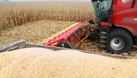 5% сільгосппродукції України вже виробляють чернігівські аграрії