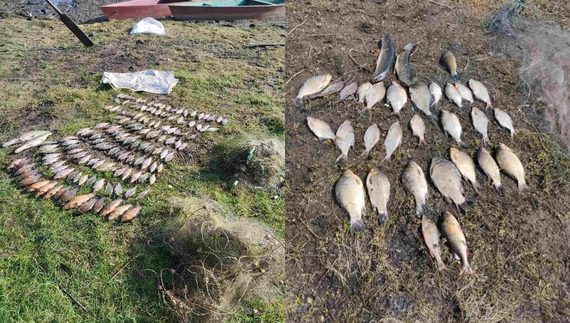На Чернігівщині браконьєри завдали збитків рибному господарству на понад 300 тисяч