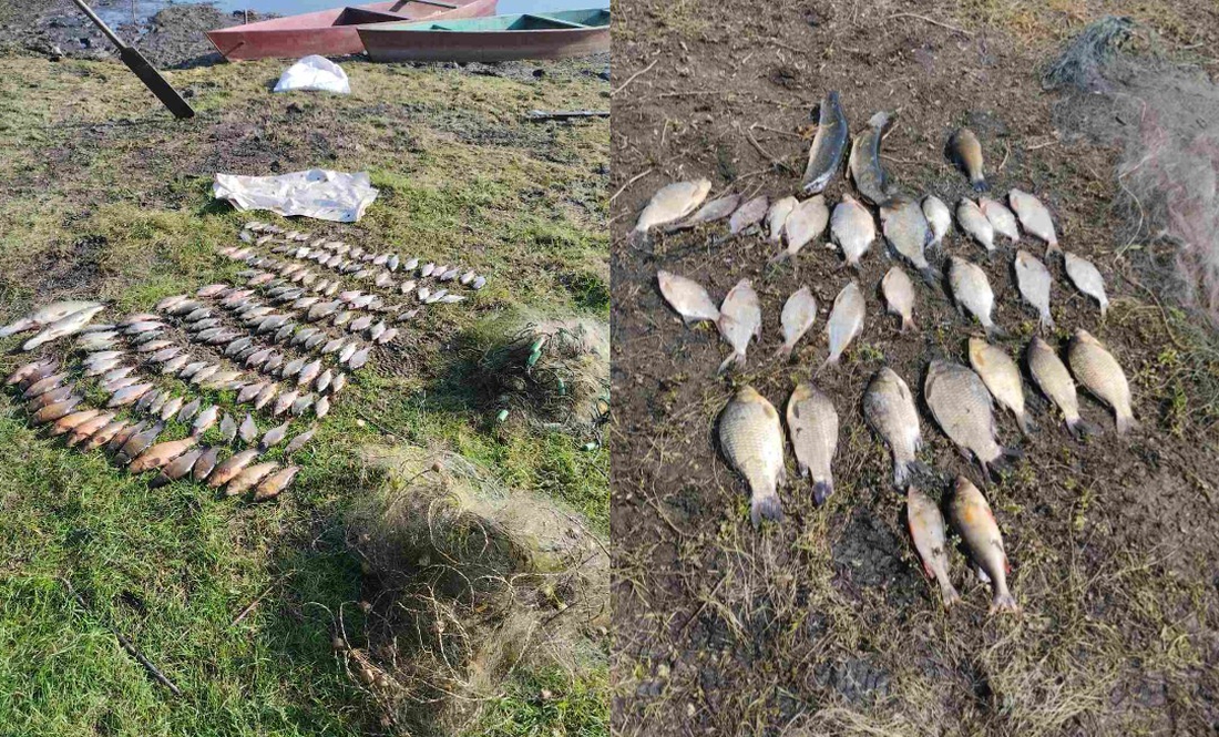 На Чернігівщині браконьєри завдали збитків рибному господарству на понад 300 тисяч
