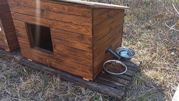 У Корюківці встановили «пункти незламності» для котів і собак