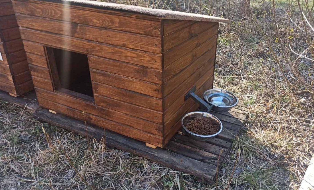 У Корюківці встановили «пункти незламності» для котів і собак