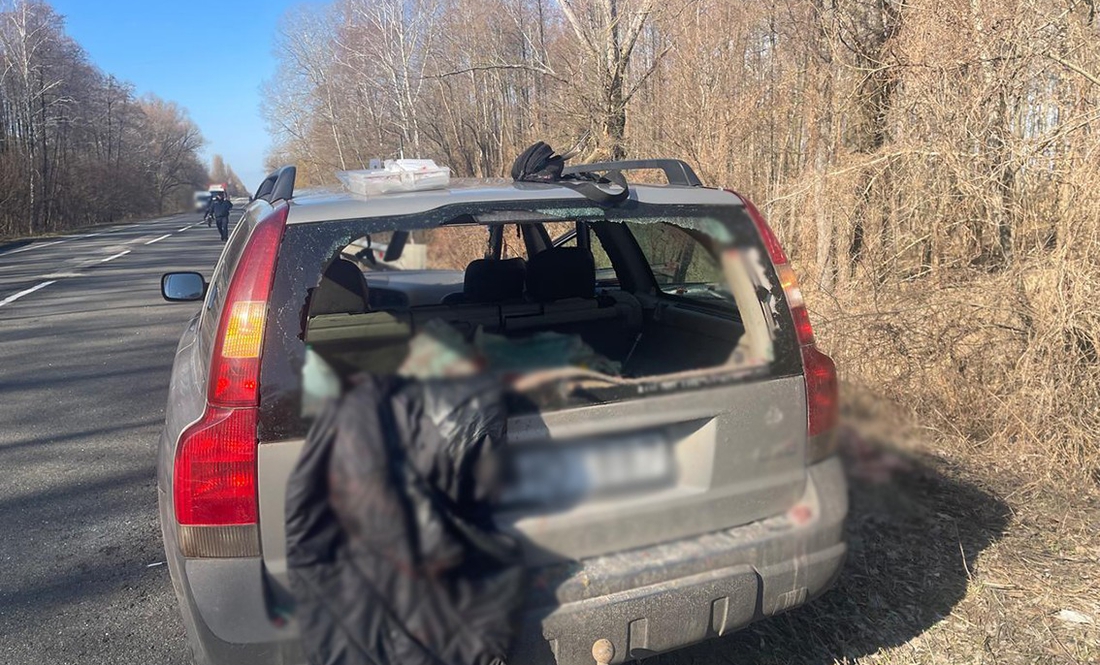 На Чернігівщині автівка збила косулю - загинула пасажирка