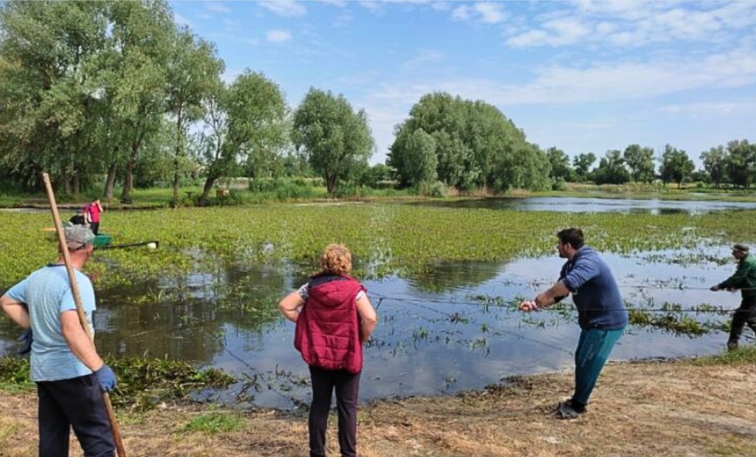 Річка Мена цвіте. Для чищення задіяли «два трактори і десять працівників»