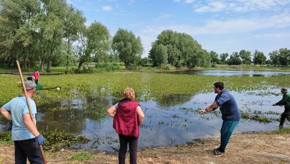 Річка Мена цвіте. Для чищення задіяли «два трактори і десять працівників»