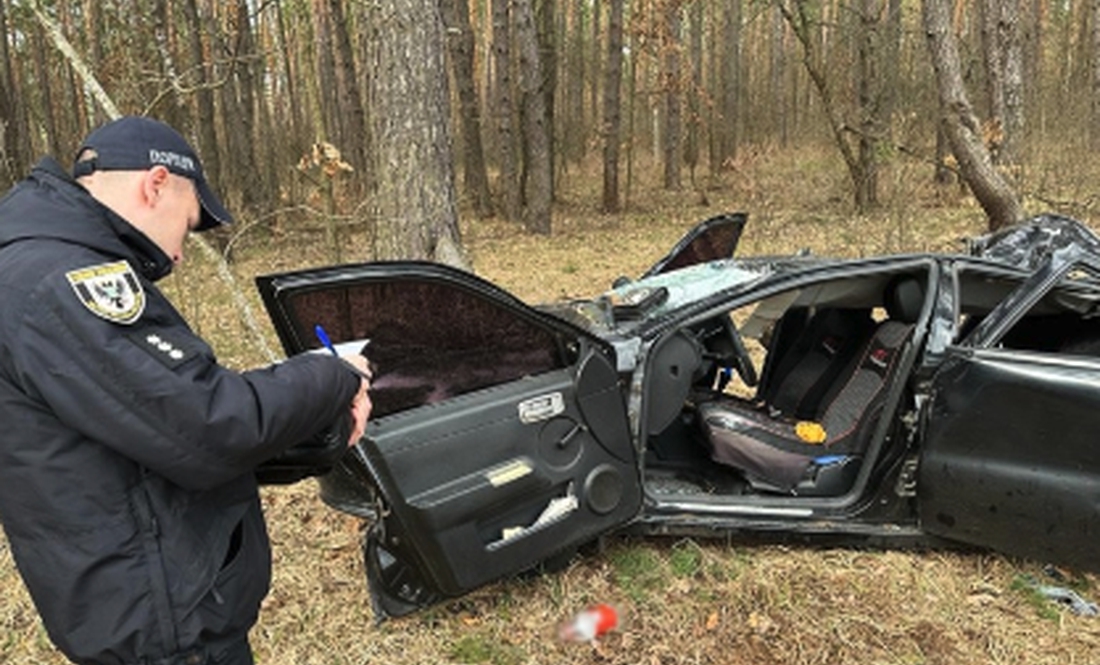 Через порив вітру сосна впала на дах автомобіля «Джилі СК2», Семенівська громада, 3 квітня 2024 року