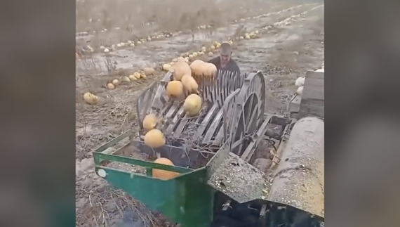 Комбайн працює в полі. Семенівська громада