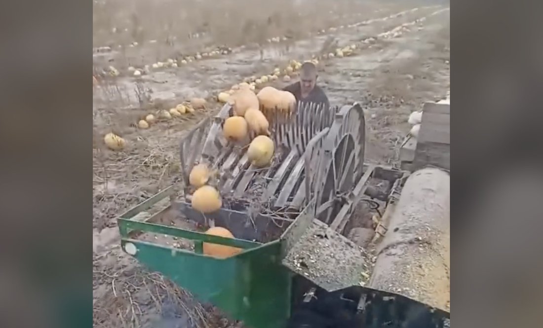 Комбайн працює в полі. Семенівська громада