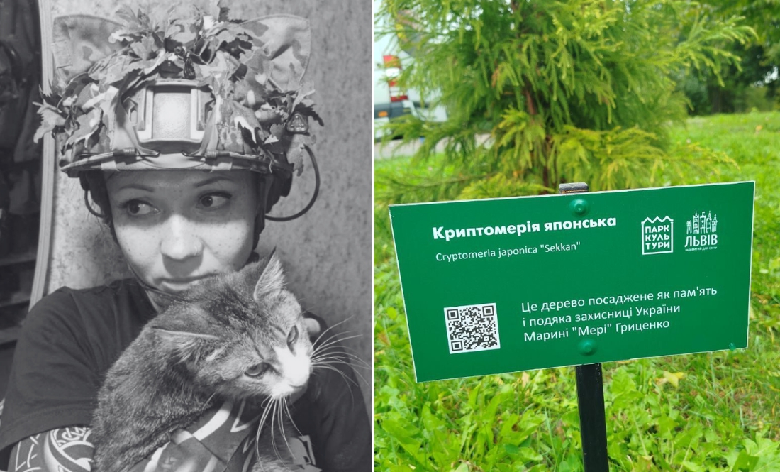 У Львові на честь загиблої захисниці-чернігівки висадили незвичайне дерево