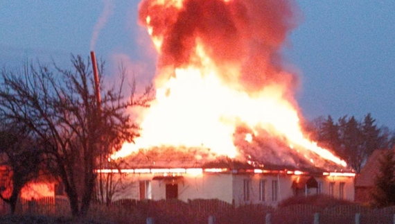 Костобобрівське лісництво