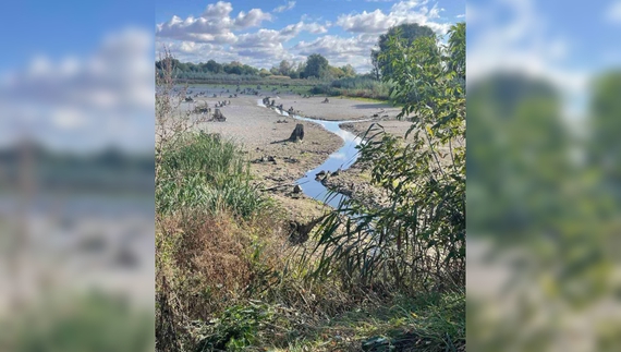 Екологи обстежили річку Бистриця, яка пересихає