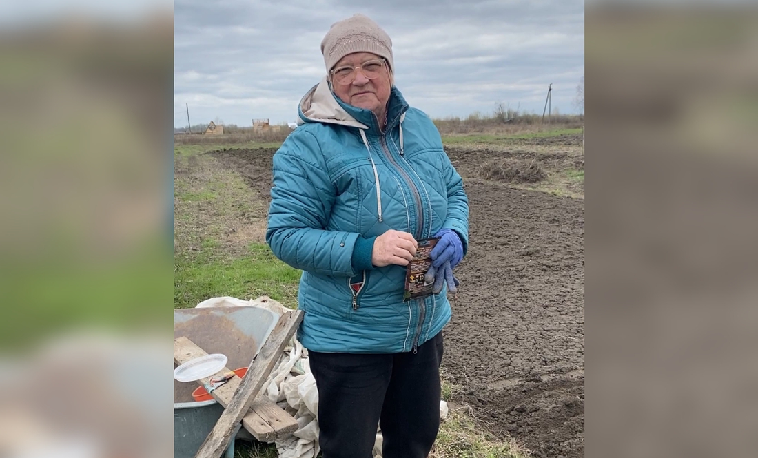 Тетяна Тимченко буряк, моркву, редис та чорнушку сіє «між дощечку»