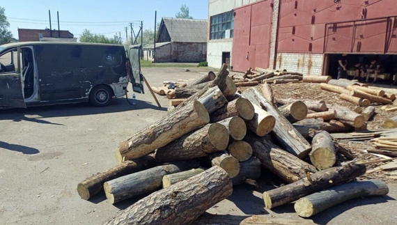 На Чернігівщині вісьмом учасникам групи «чорних лісорубів» повідомили про підозру: збитки майже 7,5 млн грн