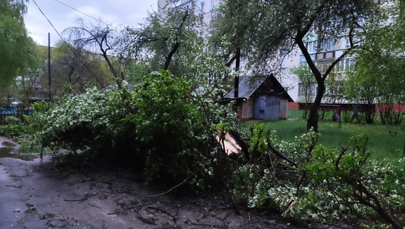 Негода наробила лиха на Чернігівщині: без світла 11 населених пунктів