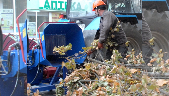 На Чернігівщині подрібнюють гілля: скільки коштує послуга