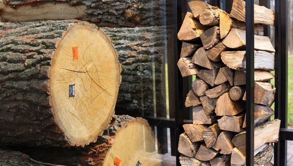 Якщо нема своїх лісорубів — працюють наймані: як Чернігівщина заготовляє дрова