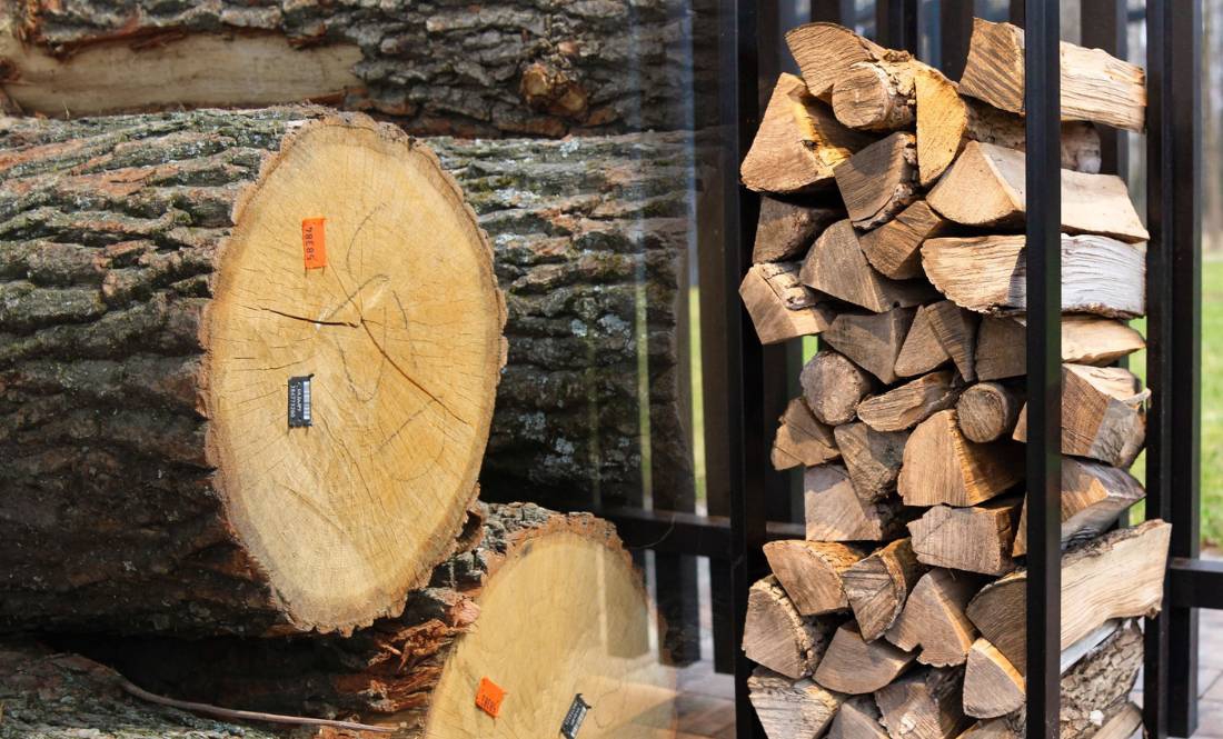 Якщо нема своїх лісорубів — працюють наймані: як Чернігівщина заготовляє дрова