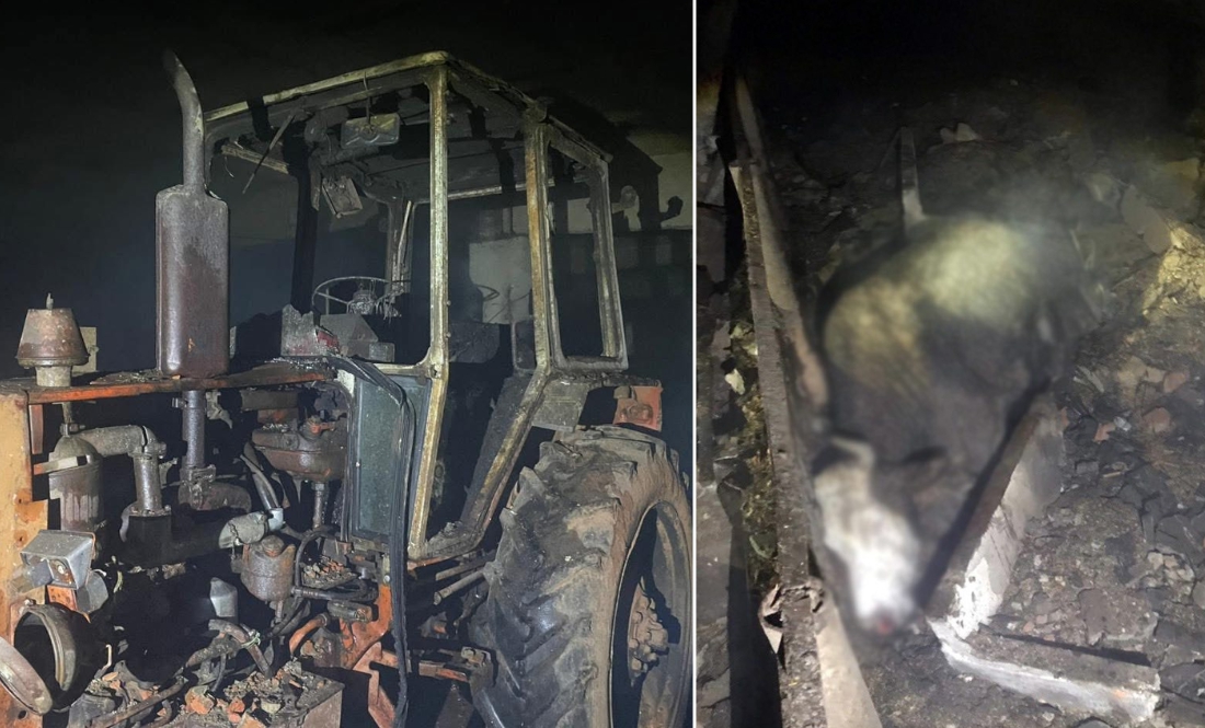 Ворог нищить ферми на Чернігівщині: на яку допомогу можуть розраховувати аграрії