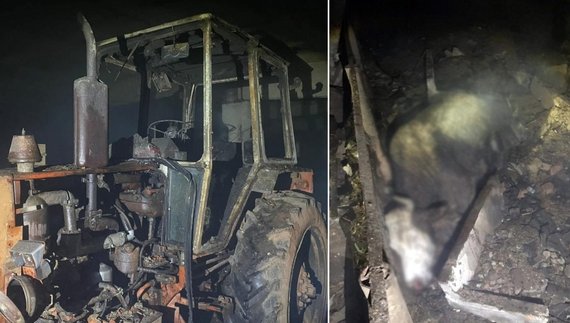 Ворог нищить ферми на Чернігівщині: на яку допомогу можуть розраховувати аграрії